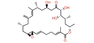 Amphidinolide B5